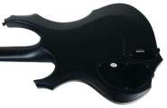 ESP LTD F-2005_002_enl.jpg