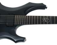 ESP LTD F-2005_005_enl.jpg