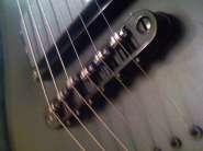 IMG508.jpg