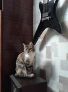 2014-02-03 00.41.33.jpg