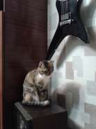 2014-02-03 00.41.37.jpg