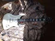 Продам редкий американский бутик Warrior Signature '05 White Pearl. Семплы! 927296-4