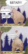 medved.jpg