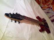 IMG543.jpg
