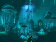 ScreenShot5.JPG