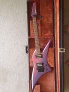 Ibanezvx500-1.jpg