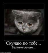 441698_skuchayu-po-tebe.thumbnail.jpg