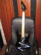 gunslinger pulse.jpg