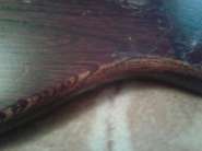 2012-09-06 15.11.30.jpg