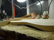 ����������� 964.jpg