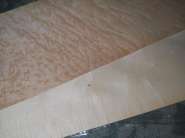 ����������� 1005.jpg