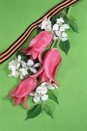 flower020.jpg