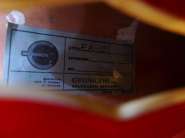$T2eC16Z,!)QE9s3HFh9jBRDtK6)c8g~~60_57.jpg