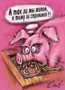 pig.jpg