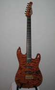1995 Godin Artisan ST Signature _5.jpg