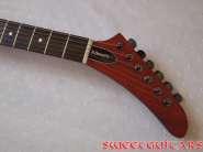edwards exp 2.jpg