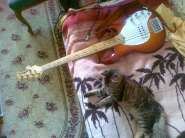 ���� � ����.jpg