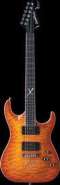washburn-x50q.jpg