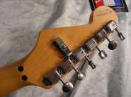 big%20fender%20strat%20am%20std%20floydDSCN9389.jpg