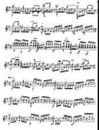 ������ 2.jpg