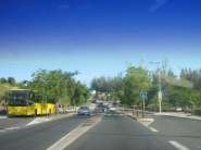 1 035.JPG
