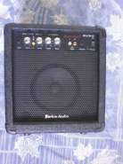 BortonAudio.jpg