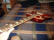 DSC02387.jpg