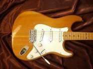 1_WEST_STRATC_1976.jpg