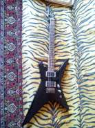 IMG_20141007_115021.jpg