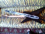 IMG_20141007_120707.jpg