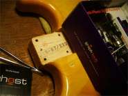 Fender Japan 1996-8.jpg