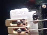 IMG851.jpg