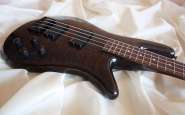 spector_4.jpg