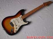 washburn strat 1.jpg