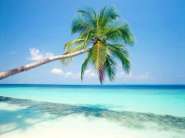 Tropical_Island.jpg