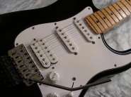 big%20fender%20strat%20am%20std%20floydDSCN9393.jpg