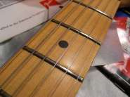 big%20fender%20strat%20am%20std%20floydDSCN9394.jpg