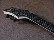 angelus (3)_resize.jpg