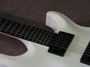 angelus (4)_resize.jpg