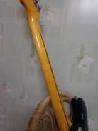 DSC00492.jpg