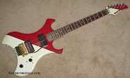 Diver Down Floyd Rose EVH.jpg