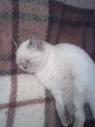 Resize of 08-10-07_2135.jpg