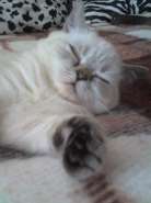 Resize of 30-09-07_1628.jpg