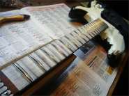 F.strat89 Plus-5.jpg