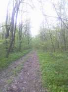 29042013068.jpg