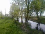 29042013071.jpg