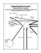 singhum99.jpg