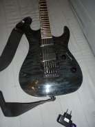SAM_1209-1.jpg