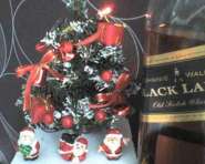 DSC00535.jpg
