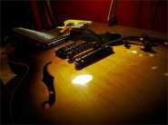 gibson ES-335_2007-6.jpg